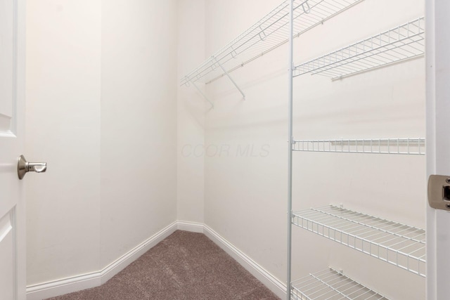 6618 Wild Rose Ln, Westerville, OH 43082 - spacious closet with carpet flooring