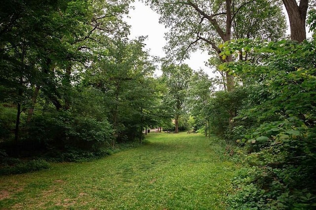 120 E Blake Ave, Columbus, OH 43202 - view of grassy yard featuring a wooded view