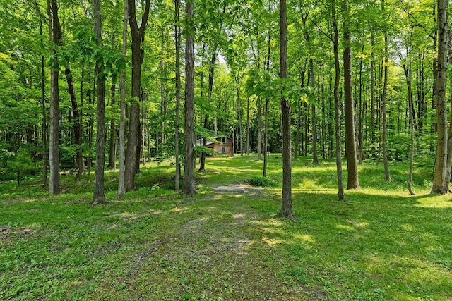8005 Township Road 38, Galion, OH 44833 - photo 74
