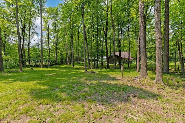 8005 Township Road 38, Galion, OH 44833 - photo 75