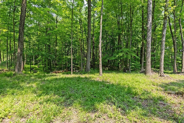 8005 Township Road 38, Galion, OH 44833 - photo 78
