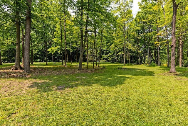 8005 Township Road 38, Galion, OH 44833 - photo 84