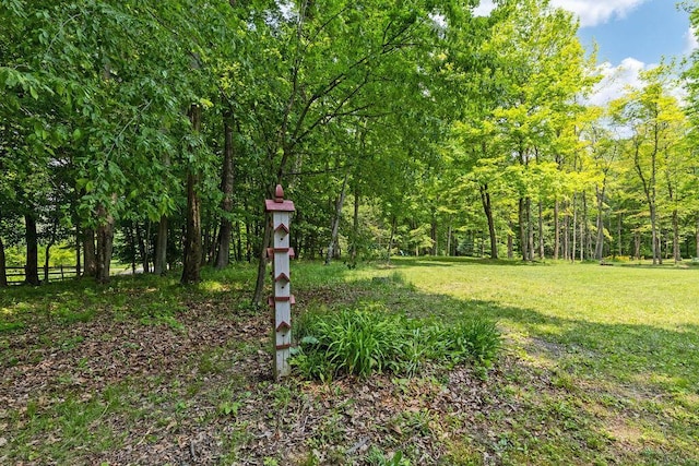 8005 Township Road 38, Galion, OH 44833 - photo 82