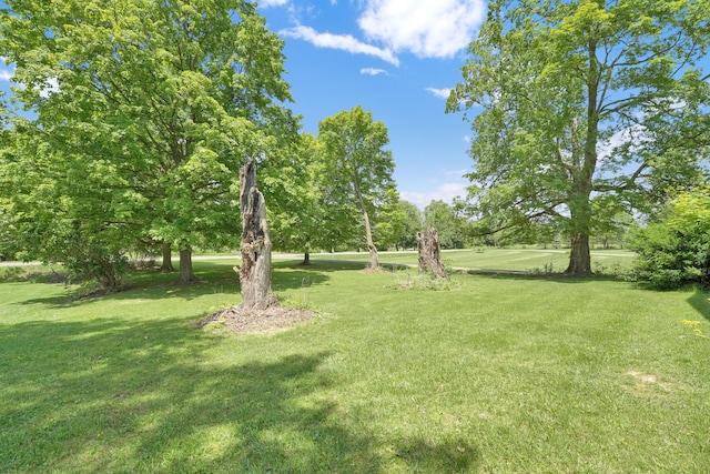 7682 Northridge Rd, Johnstown, OH 43031 - view of grassy yard