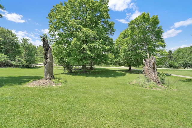 7682 Northridge Rd, Johnstown, OH 43031 - view of grassy yard