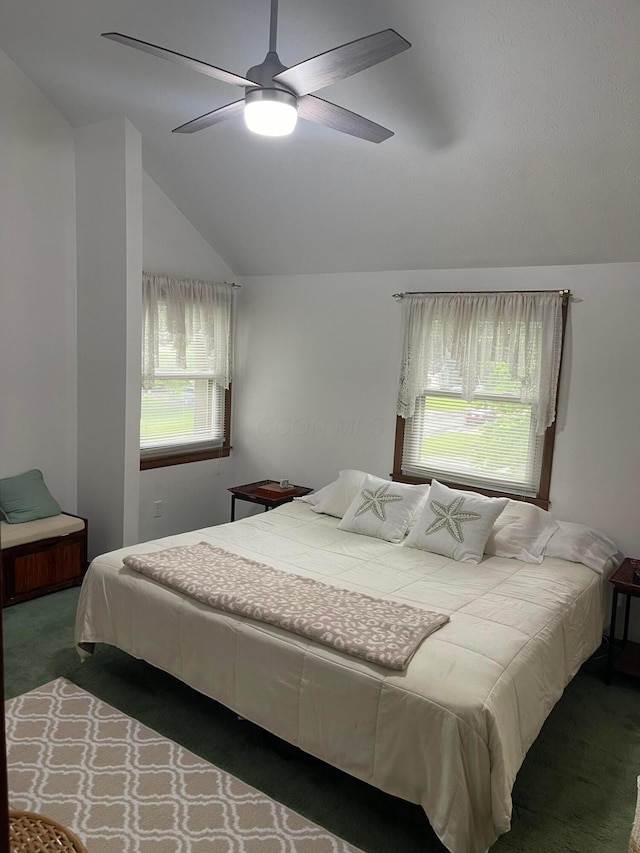 314 Broken Arrow Rd, Columbus, OH 43230 - carpeted bedroom with lofted ceiling and a ceiling fan