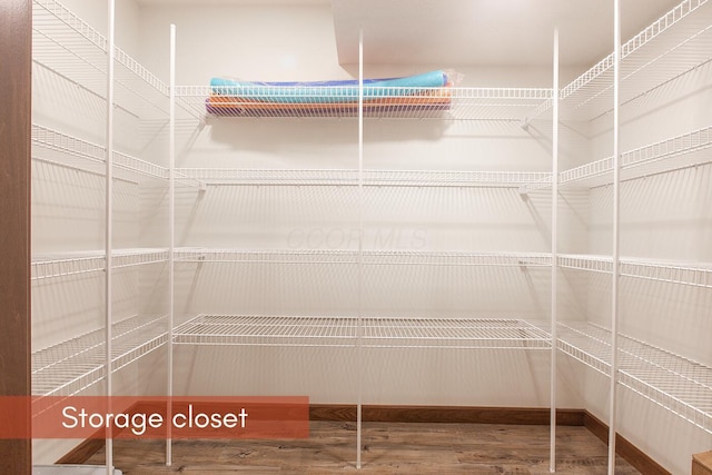 51 Appletree Ct, Howard, OH 43028 - view of pantry