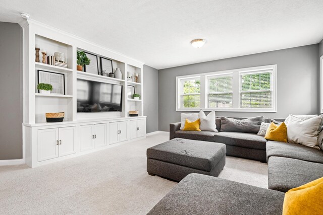 2505 Isabella Blue Dr, Powell, OH 43065 - carpeted living room with baseboards and built in shelves