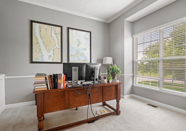 2505 Isabella Blue Dr, Powell, OH 43065 - office featuring carpet floors, baseboards, and ornamental molding