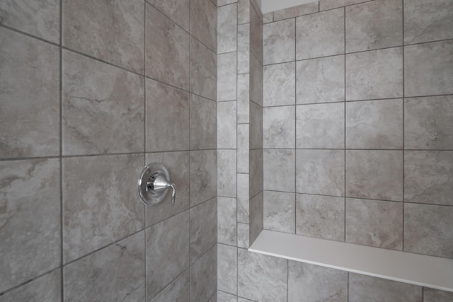 2505 Isabella Blue Dr, Powell, OH 43065 - bathroom view of a tile shower