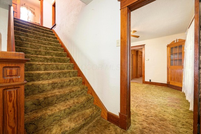 312 E Buckeye St, Belle Center, OH 43310 - photo 8
