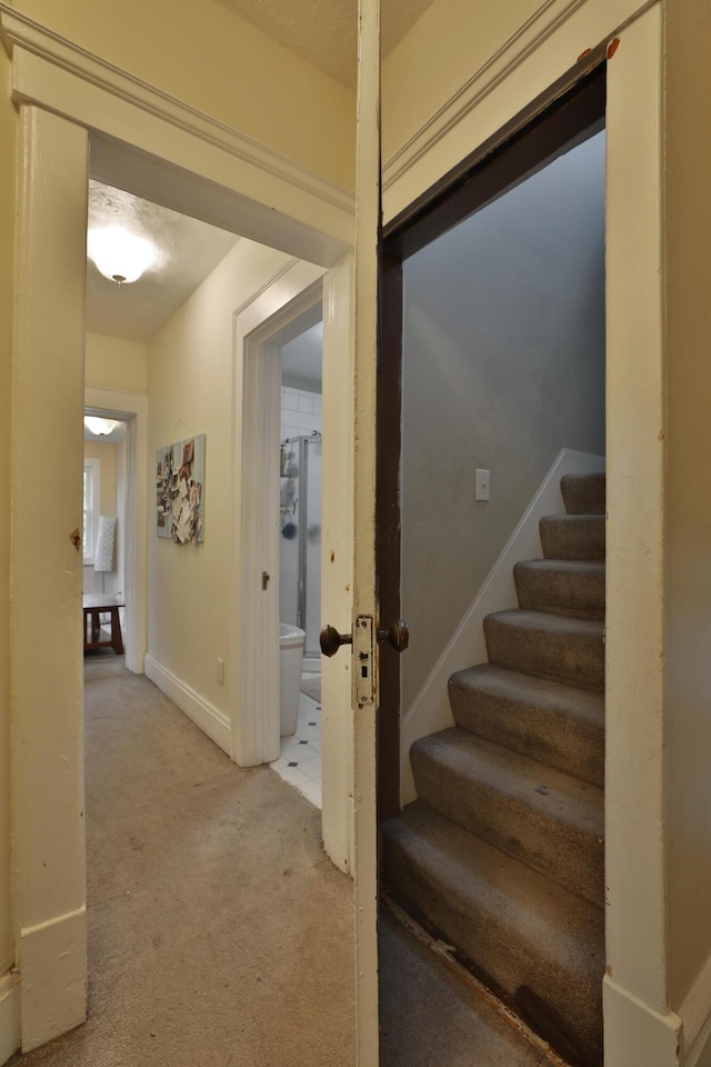 368 Alden Ave Unit 368, Columbus, OH 43201 - hall with light carpet, stairs, and baseboards