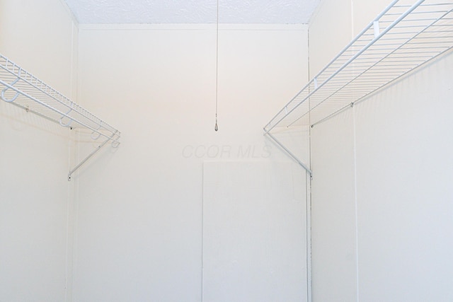 160 Cliff St, Buckeye Lake, OH 43008 - view of walk in closet