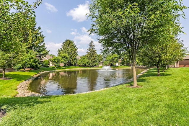 7179 Inverness Ct, Dublin, OH 43016 - water view
