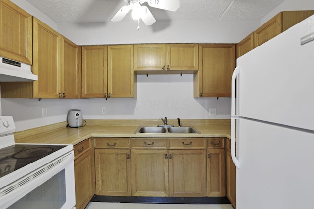 3939 Karl Rd Unit 206, Columbus, OH 43224 - kitchen featuring white appliances, a sink, a ceiling fan, light countertops, and a textured ceiling