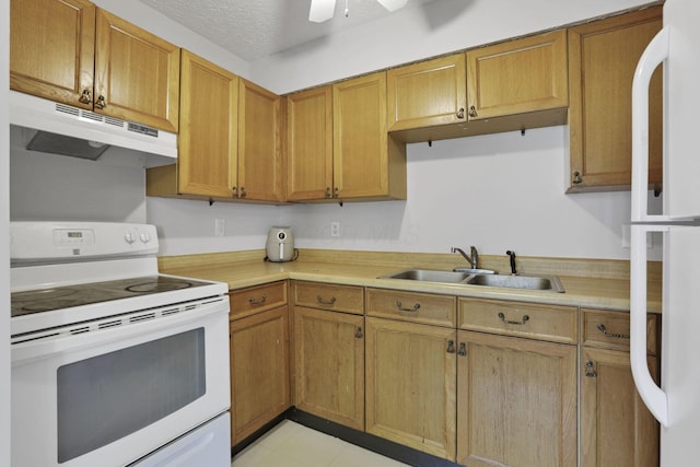 3939 Karl Rd Unit 206, Columbus, OH 43224 - kitchen featuring white appliances, under cabinet range hood, light countertops, a sink, and brown cabinetry