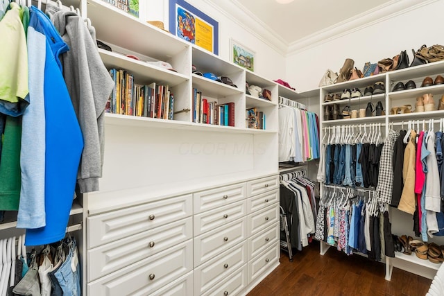 14 Lyonsgate Rd, Bexley, OH 43209 - walk in closet featuring dark wood-style flooring