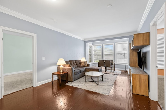 925 Ingleside Ave Unit 213, Columbus, OH 43215 - living area featuring baseboards, crown molding, and dark wood-type flooring