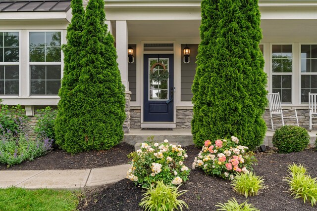 3669 Audubon Ave, Hilliard, OH 43026 - doorway to property with covered porch, stone siding, and a standing seam roof