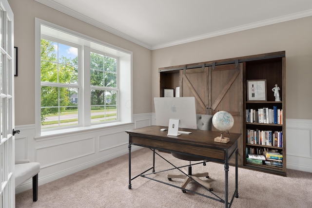 3669 Audubon Ave, Hilliard, OH 43026 - office space featuring carpet flooring, ornamental molding, a wainscoted wall, and a decorative wall