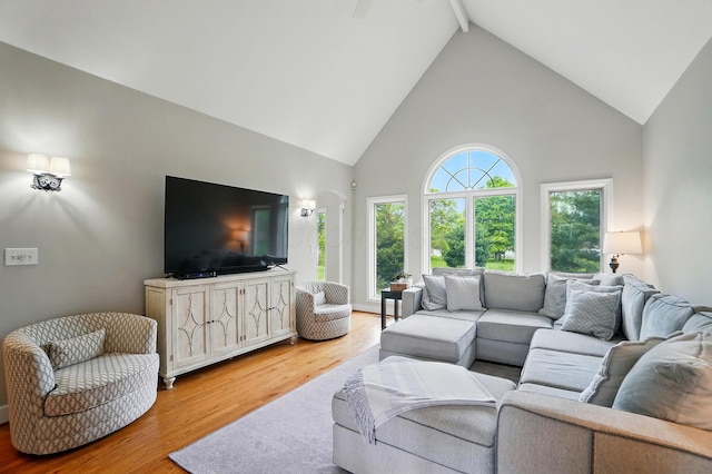 9146 Shawnee Trl, Powell, OH 43065 - living area with high vaulted ceiling, light wood finished floors, and beam ceiling