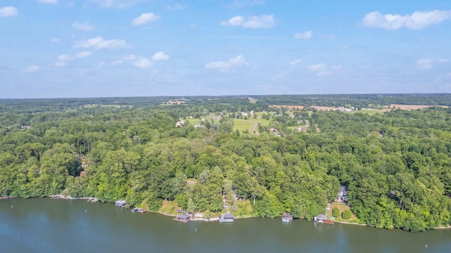 7326 State Route 19 Unit 2, Lots 27-30, Mount Gilead, OH 43338 - aerial view of property's location featuring a large body of water
