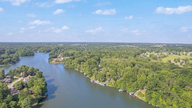 7326 State Route 19 Unit 2, Lots 27-30, Mount Gilead, OH 43338 - aerial view of a forest and a large body of water