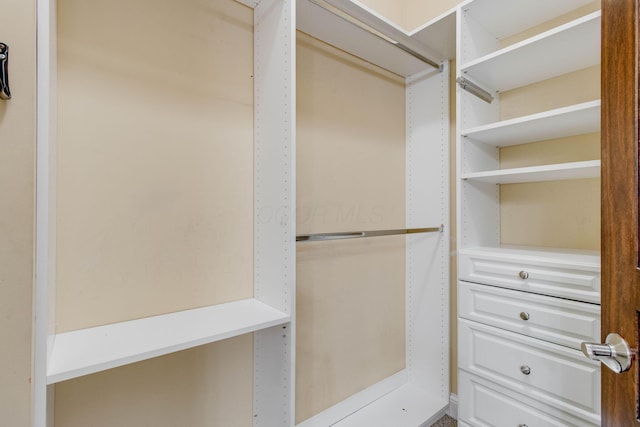 2898 Braden Way, Blacklick, OH 43004 - view of spacious closet