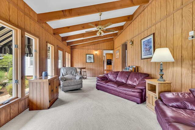 15228 Croton Rd, Centerburg, OH 43011 - photo 40