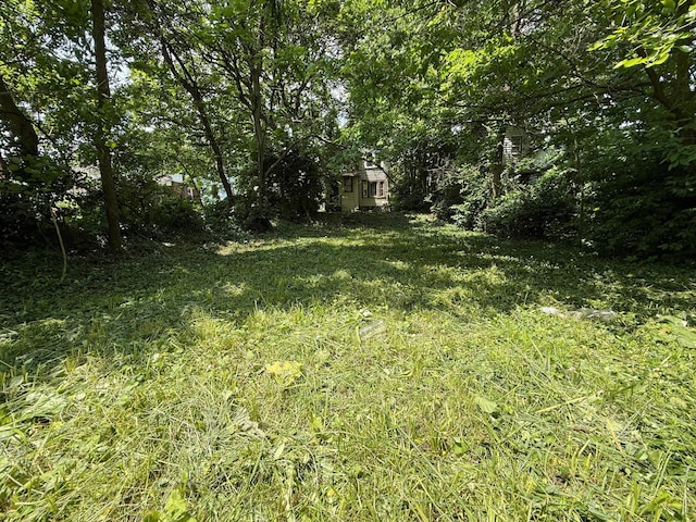 778 Berkeley Rd, Columbus, OH 43205 - view of yard