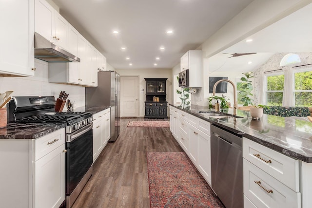 776 Galloway Rd, Galloway, OH 43119 - kitchen featuring stainless steel appliances, under cabinet range hood, a sink, dark wood-style flooring, and tasteful backsplash