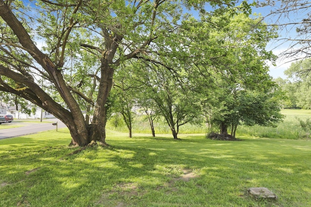 800 S Detroit St, Bellefontaine, OH 43311 - view of grassy yard