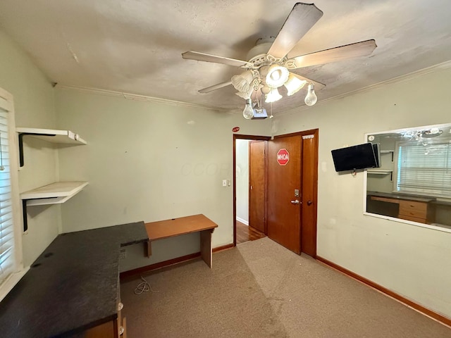 120 Chandler Ave, London, OH 43140 - unfurnished office with ceiling fan, ornamental molding, baseboards, and carpet flooring