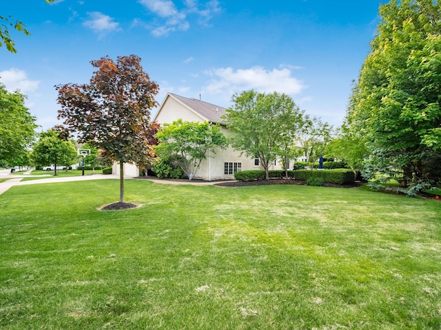 6810 Bearclover Dr, Dublin, OH 43016 - view of green lawn