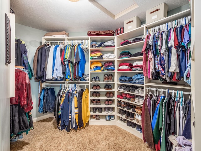 6810 Bearclover Dr, Dublin, OH 43016 - spacious closet with carpet