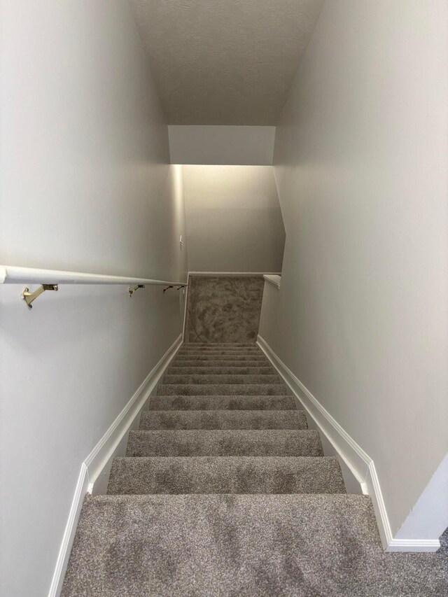 1193 Hollytree Ln, Westerville, OH 43081 - photo 8