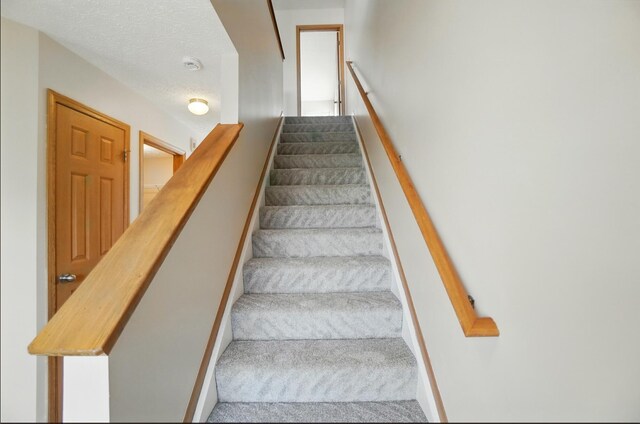 2816 Hillstone St, Columbus, OH 43219 - photo 22