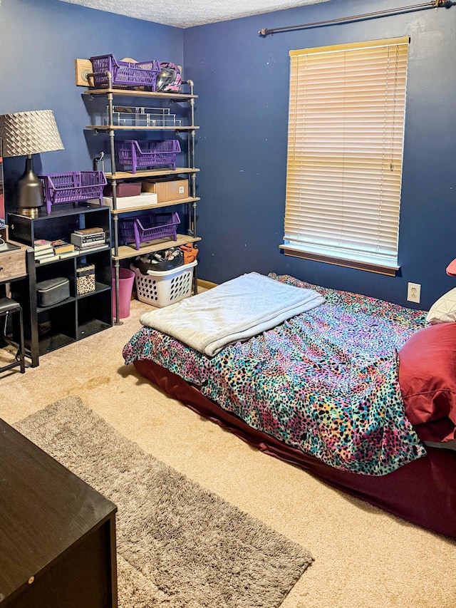 4890 Township Road 138 NW, Somerset, OH 43783 - bedroom featuring carpet flooring