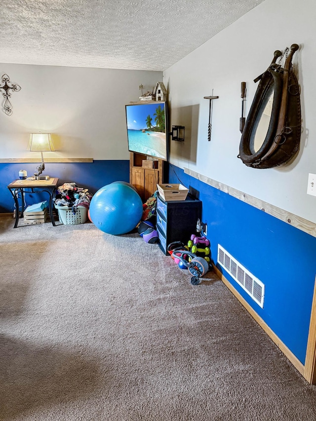 4890 Township Road 138 NW, Somerset, OH 43783 - workout room with carpet floors and a textured ceiling