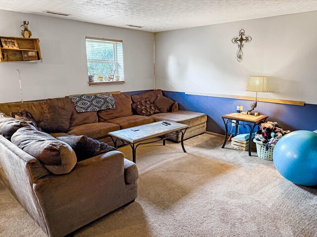 4890 Township Road 138 NW, Somerset, OH 43783 - living area with a textured ceiling and carpet