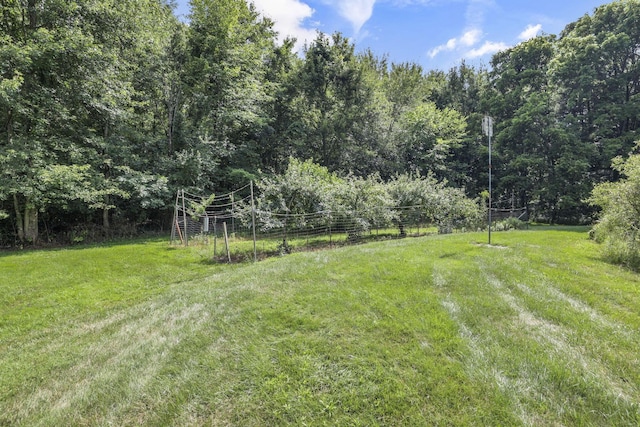 7877 Outville Rd SW, Pataskala, OH 43062 - photo 20