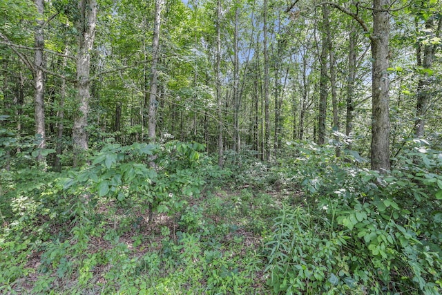 7877 Outville Rd SW, Pataskala, OH 43062 - photo 23