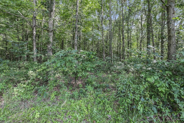 7877 Outville Rd SW, Pataskala, OH 43062 - photo 24