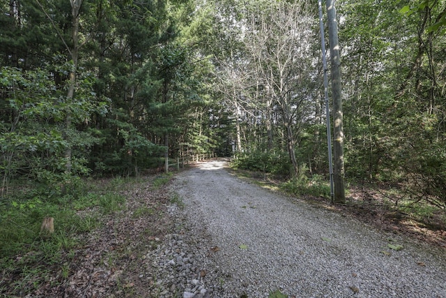 7877 Outville Rd SW, Pataskala, OH 43062 - photo 26