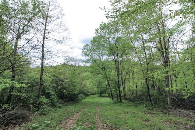 TRACT3 State Route 668, Logan, OH 43138