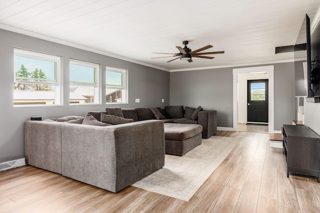2174 Peachblow Rd, Lewis Center, OH 43035 - living room with ornamental molding, a ceiling fan, light wood-style flooring, and baseboards
