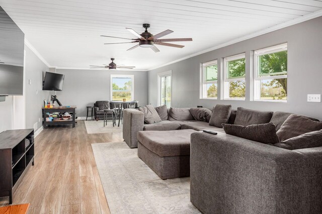 2174 Peachblow Rd, Lewis Center, OH 43035 - living room with light wood-type flooring, a ceiling fan, ornamental molding, and baseboards