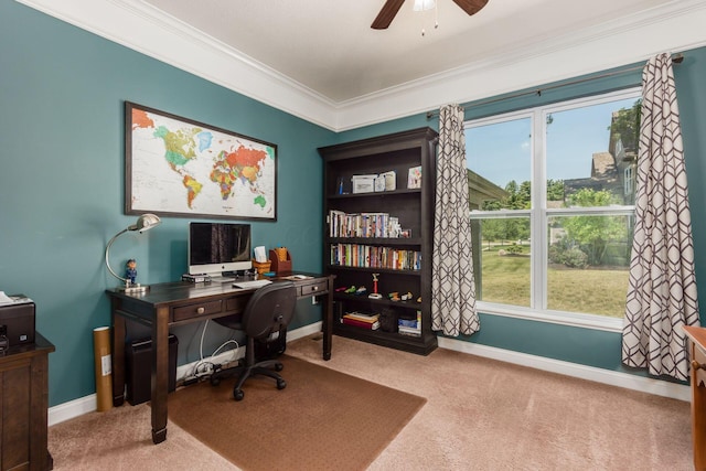 340 Olentangy W, Delaware, OH 43015 - office area with carpet, ceiling fan, ornamental molding, and baseboards