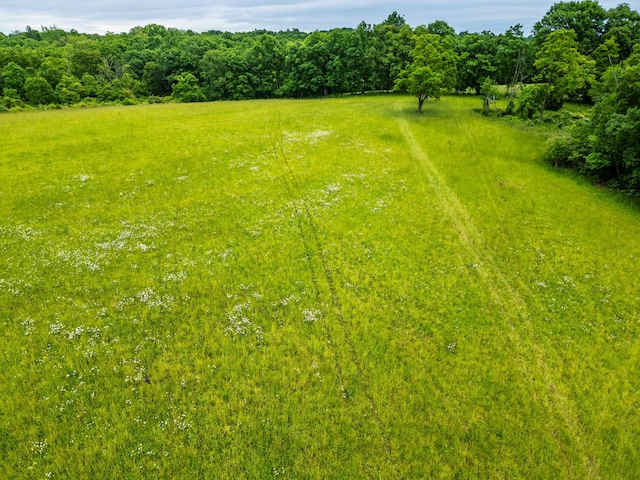 1650 Simmons Rd, Frankfort, OH 45628 - photo 6