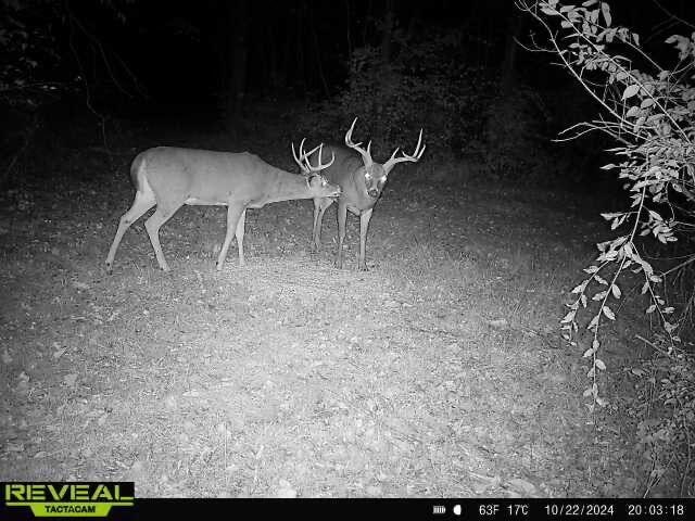 1650 Simmons Rd, Frankfort, OH 45628 - photo 2
